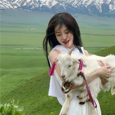 所有的猫都是灰色
